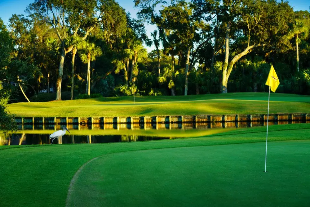 Palmetto Dunes Arthur Hills Course