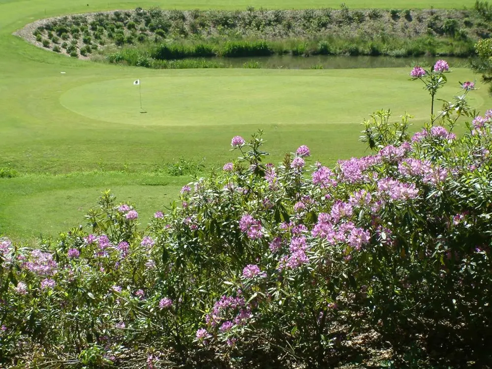 Royal Bercuit Golf Course golf course